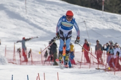 IMG_1982-1