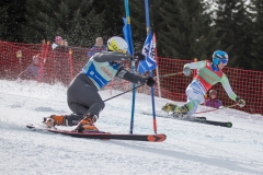 IMG_2014-1