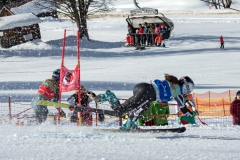 IMG_2219-1