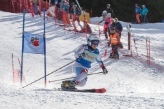 IMG_2301-1
