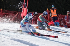 IMG_2308-1
